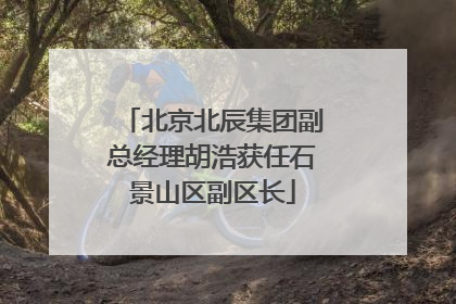 北京北辰集团副总经理胡浩获任石景山区副区长
