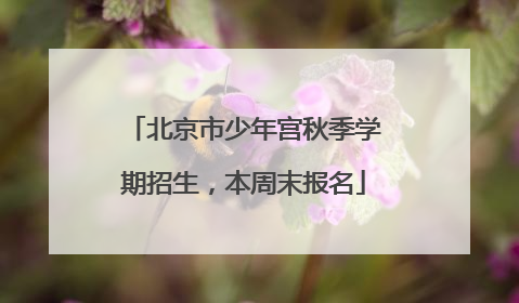 北京市少年宫秋季学期招生,本周末报名