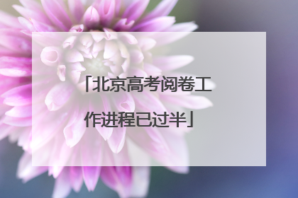 北京高考阅卷工作进程已过半