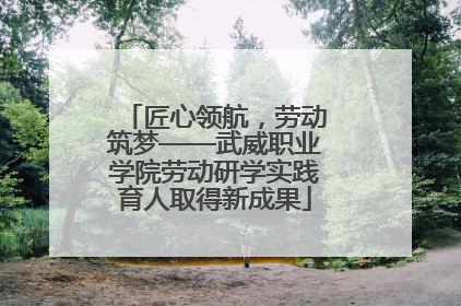 匠心领航，劳动筑梦——武威职业学院劳动研学实践育人取得新成果
