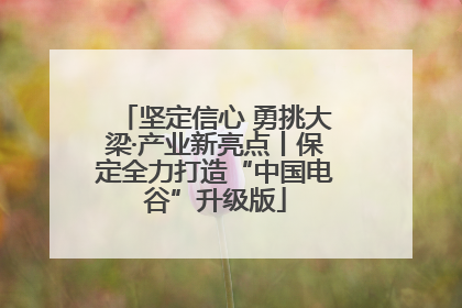 坚定信心 勇挑大梁·产业新亮点丨保定全力打造“中国电谷”升级版