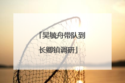 吴毓舟带队到长卿镇调研