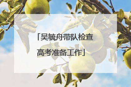 吴毓舟带队检查高考准备工作