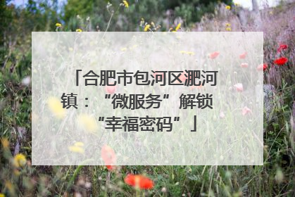 合肥市包河区淝河镇：“微服务”解锁“幸福密码”