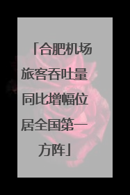 合肥机场旅客吞吐量同比增幅位居全国第一方阵