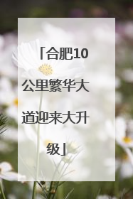 合肥10公里繁华大道迎来大升级