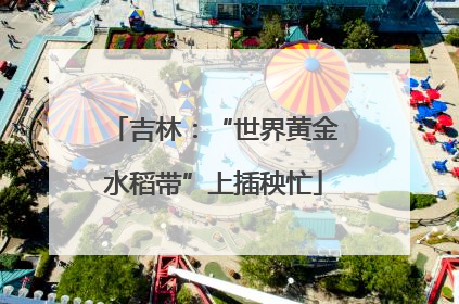 吉林：“世界黄金水稻带”上插秧忙