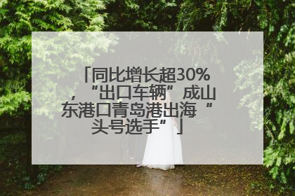 同比增长超30%，“出口车辆”成山东港口青岛港出海“头号选手”