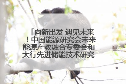 向新出发 遇见未来！中国能源研究会未来能源产教融合专委会和太行先进储能技术研究院在保定成立