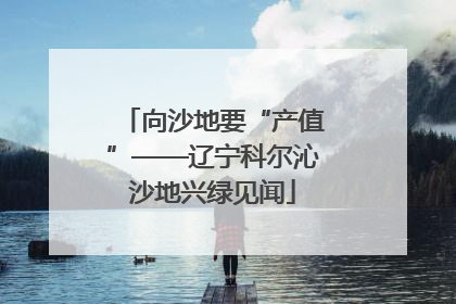 向沙地要“产值”——辽宁科尔沁沙地兴绿见闻