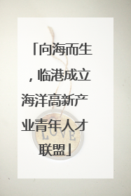 向海而生，临港成立海洋高新产业青年人才联盟