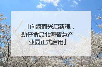 向海而兴启新程，劲仔食品北海智慧产业园正式启用