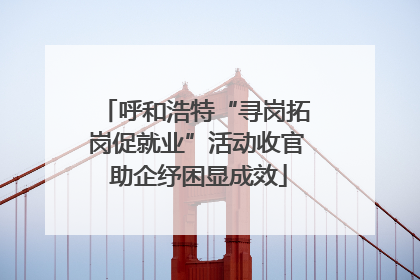 呼和浩特“寻岗拓岗促就业”活动收官 助企纾困显成效