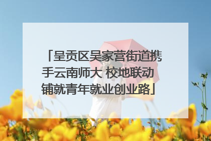 呈贡区吴家营街道携手云南师大 校地联动铺就青年就业创业路