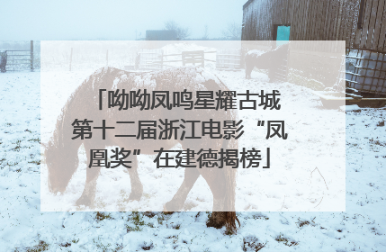 呦呦凤鸣星耀古城 第十二届浙江电影“凤凰奖”在建德揭榜