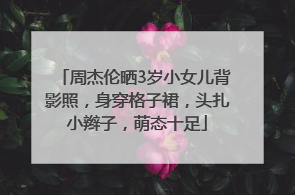 周杰伦晒3岁小女儿背影照，身穿格子裙，头扎小辫子，萌态十足