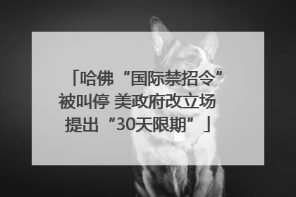 哈佛“国际禁招令”被叫停 美政府改立场提出“30天限期”