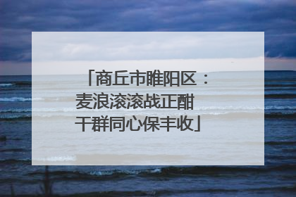 商丘市睢阳区：麦浪滚滚战正酣 干群同心保丰收