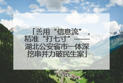 善用“信息流”，精准“打七寸”——湖北公安省市一体深挖串并力破民生案