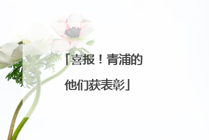 喜报！青浦的他们获表彰