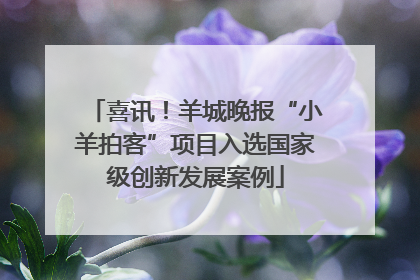 喜讯！羊城晚报“小羊拍客”项目入选国家级创新发展案例