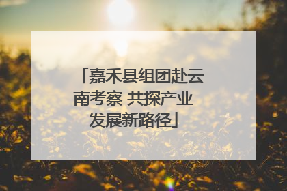 嘉禾县组团赴云南考察 共探产业发展新路径