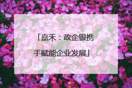 嘉禾：政企银携手赋能企业发展