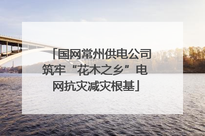 国网常州供电公司筑牢“花木之乡”电网抗灾减灾根基