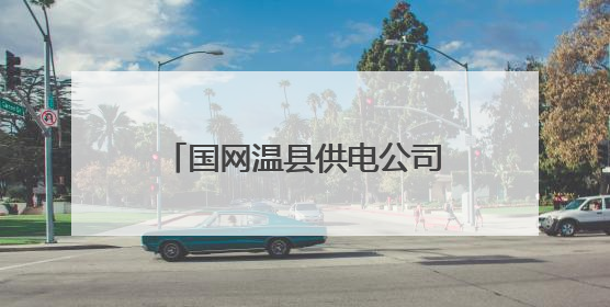 国网温县供电公司：田间地头送服务 治本攻坚保安全