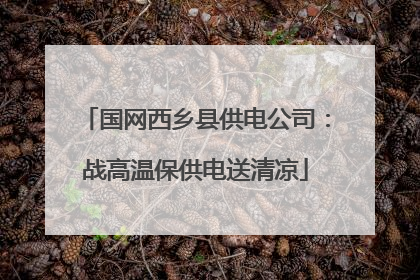 国网西乡县供电公司：战高温保供电送清凉