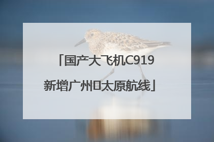 国产大飞机C919新增广州⇌太原航线