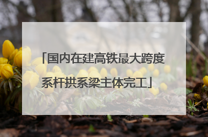 国内在建高铁最大跨度系杆拱系梁主体完工