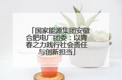 国家能源集团安徽合肥电厂团委：以青春之力践行社会责任与创新担当