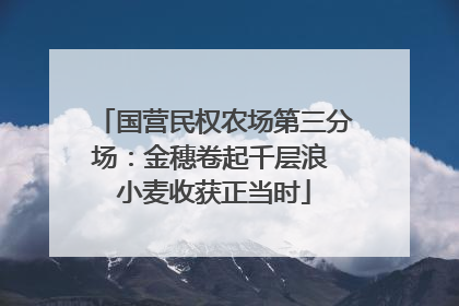 国营民权农场第三分场：金穗卷起千层浪 小麦收获正当时
