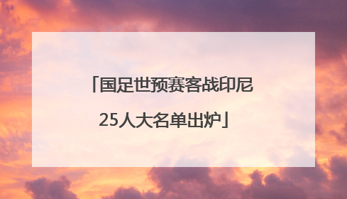 国足世预赛客战印尼25人大名单出炉