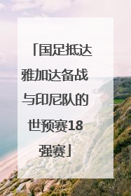国足抵达雅加达备战与印尼队的世预赛18强赛