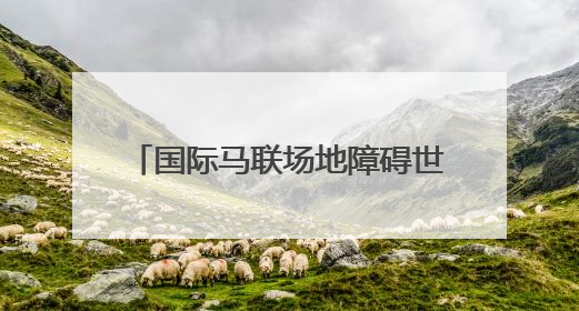 国际马联场地障碍世界杯中国联赛武汉站在武汉经开区开赛