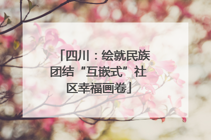 四川：绘就民族团结“互嵌式”社区幸福画卷