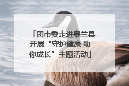 团市委走进皋兰县开展“守护健康·助你成长”主题活动