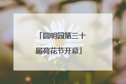 圆明园第三十届荷花节开幕