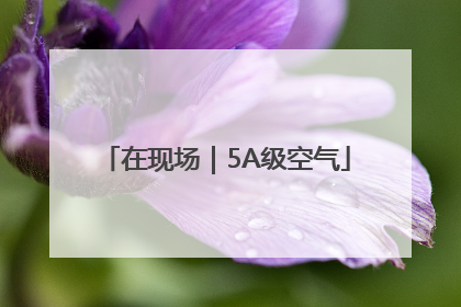 在现场｜5A级空气