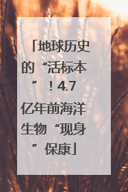 地球历史的“活标本”！4.7亿年前海洋生物“现身”保康