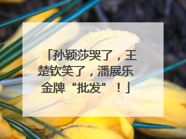 孙颖莎哭了，王楚钦笑了，潘展乐金牌“批发”！