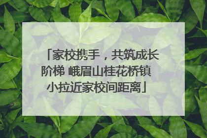 家校携手，共筑成长阶梯 峨眉山桂花桥镇小拉近家校间距离