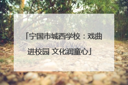 宁国市城西学校：戏曲进校园 文化润童心