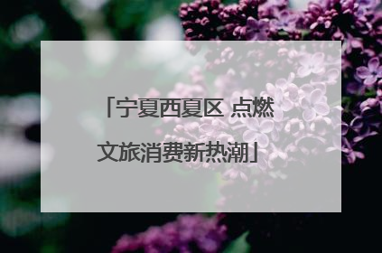 宁夏西夏区 点燃文旅消费新热潮