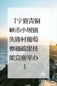 宁夏青铜峡市小坝镇先锋村葡萄整穗疏果技能竞赛举办