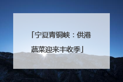 宁夏青铜峡：供港蔬菜迎来丰收季