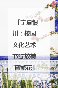 宁夏银川：校园文化艺术节绽放美育繁花