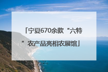 宁夏670余款“六特”农产品亮相农展馆